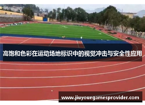 高饱和色彩在运动场地标识中的视觉冲击与安全性应用