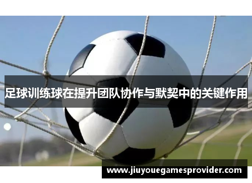 足球训练球在提升团队协作与默契中的关键作用